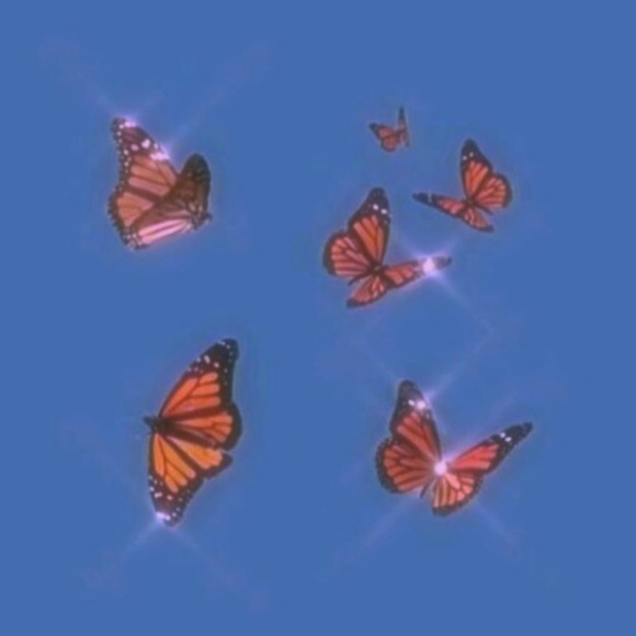 Meet your Posher, Kaitlyn - Picture 1 of 1